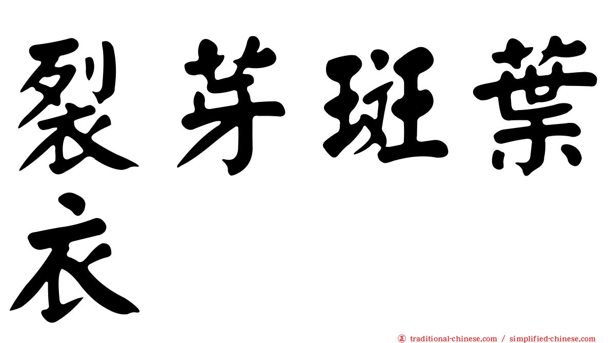 裂芽斑葉衣