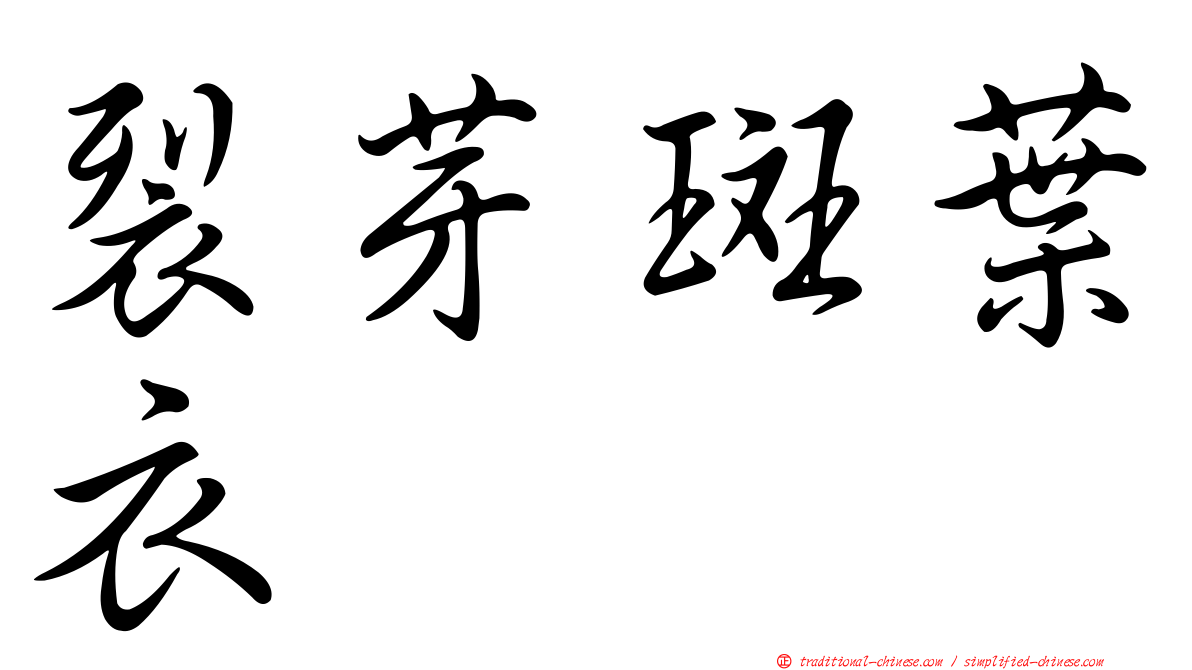 裂芽斑葉衣