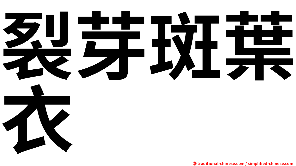 裂芽斑葉衣