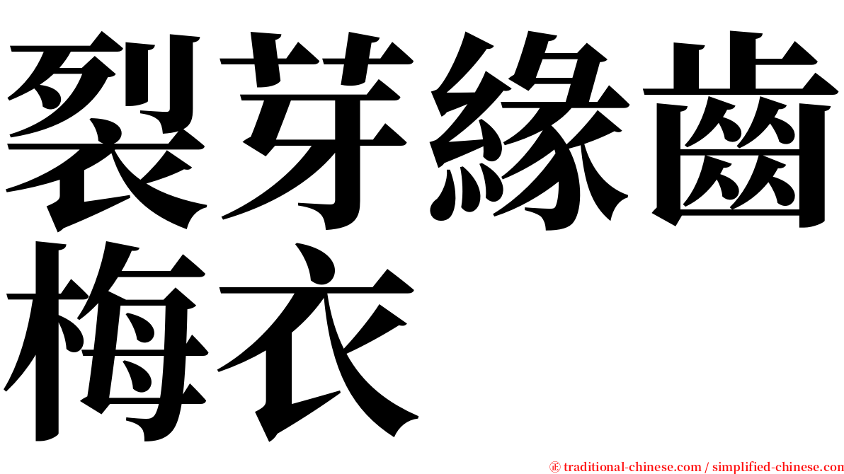 裂芽緣齒梅衣 serif font