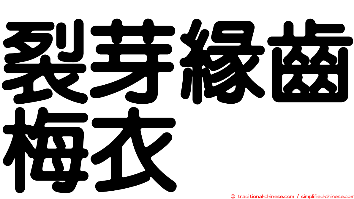 裂芽緣齒梅衣