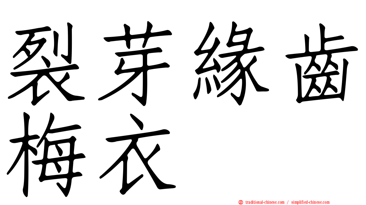 裂芽緣齒梅衣