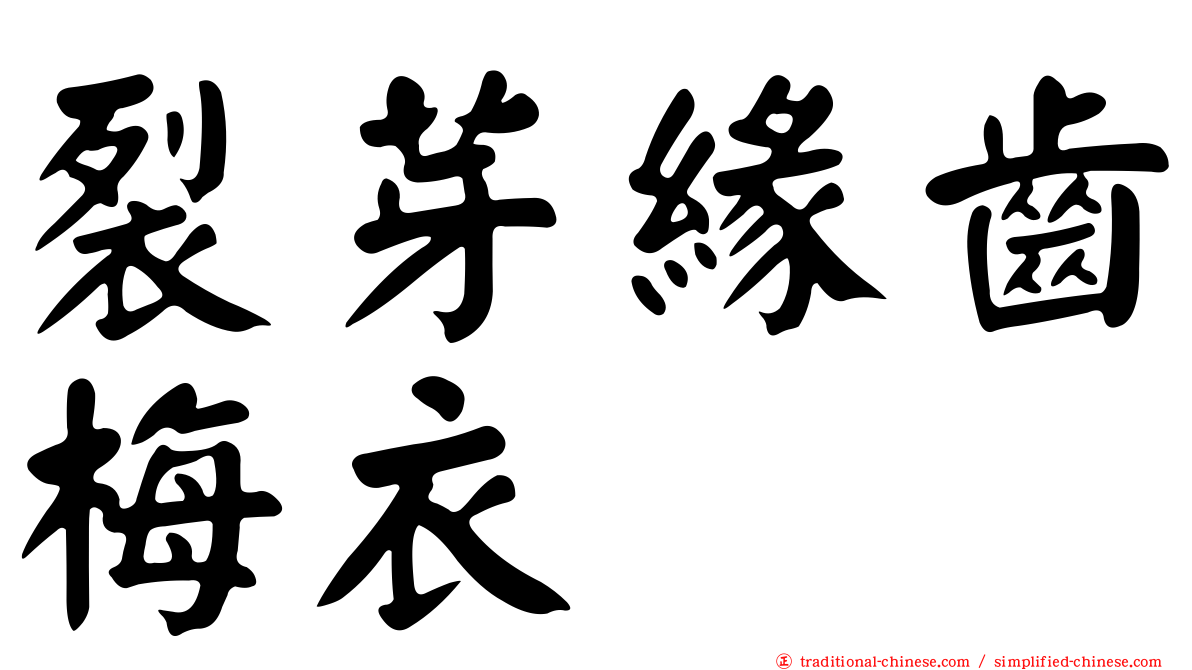 裂芽緣齒梅衣