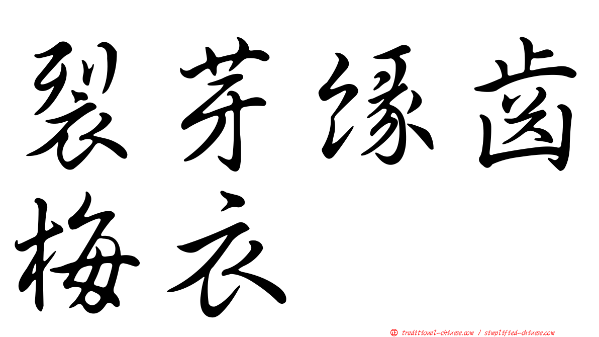 裂芽緣齒梅衣