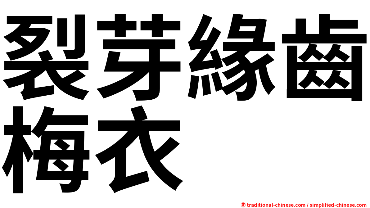 裂芽緣齒梅衣