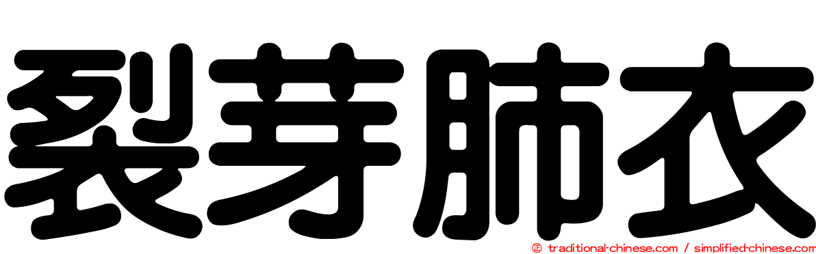 裂芽肺衣