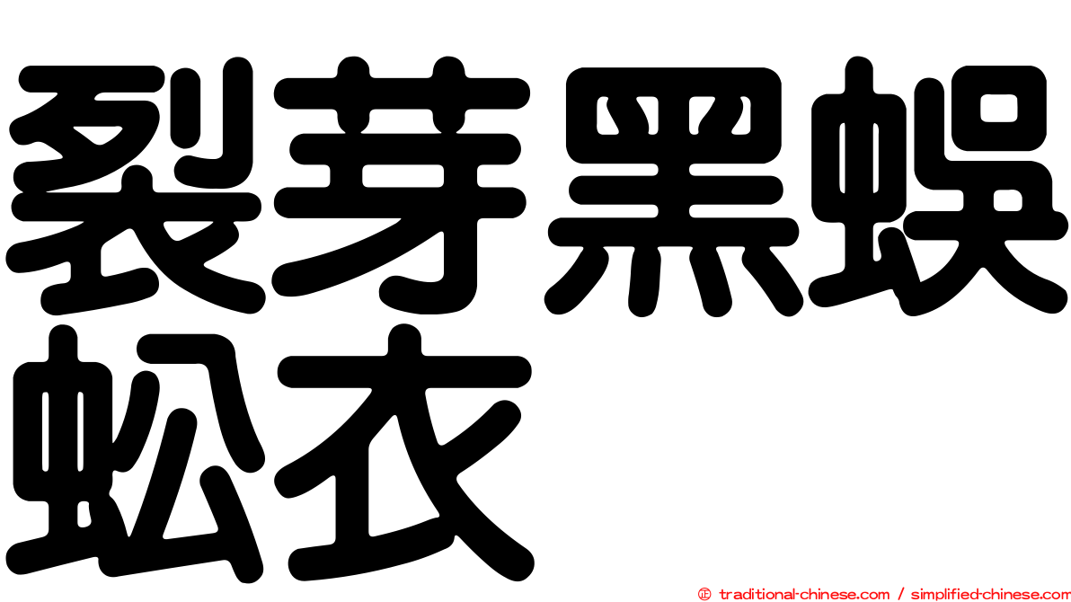 裂芽黑蜈蚣衣