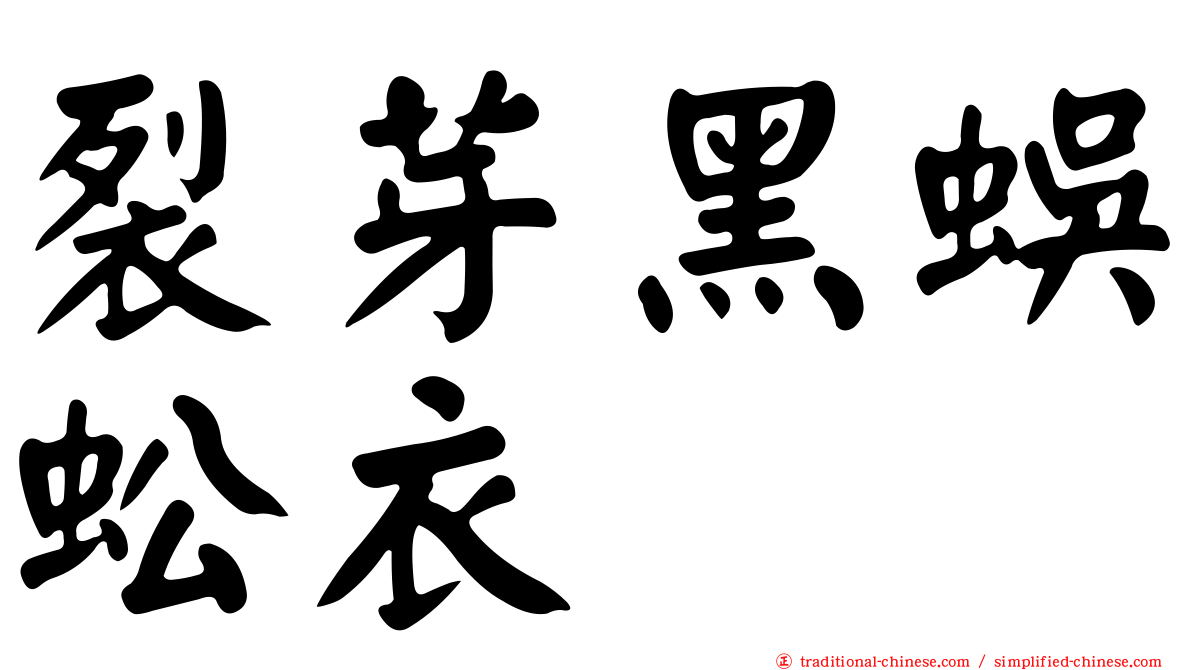 裂芽黑蜈蚣衣