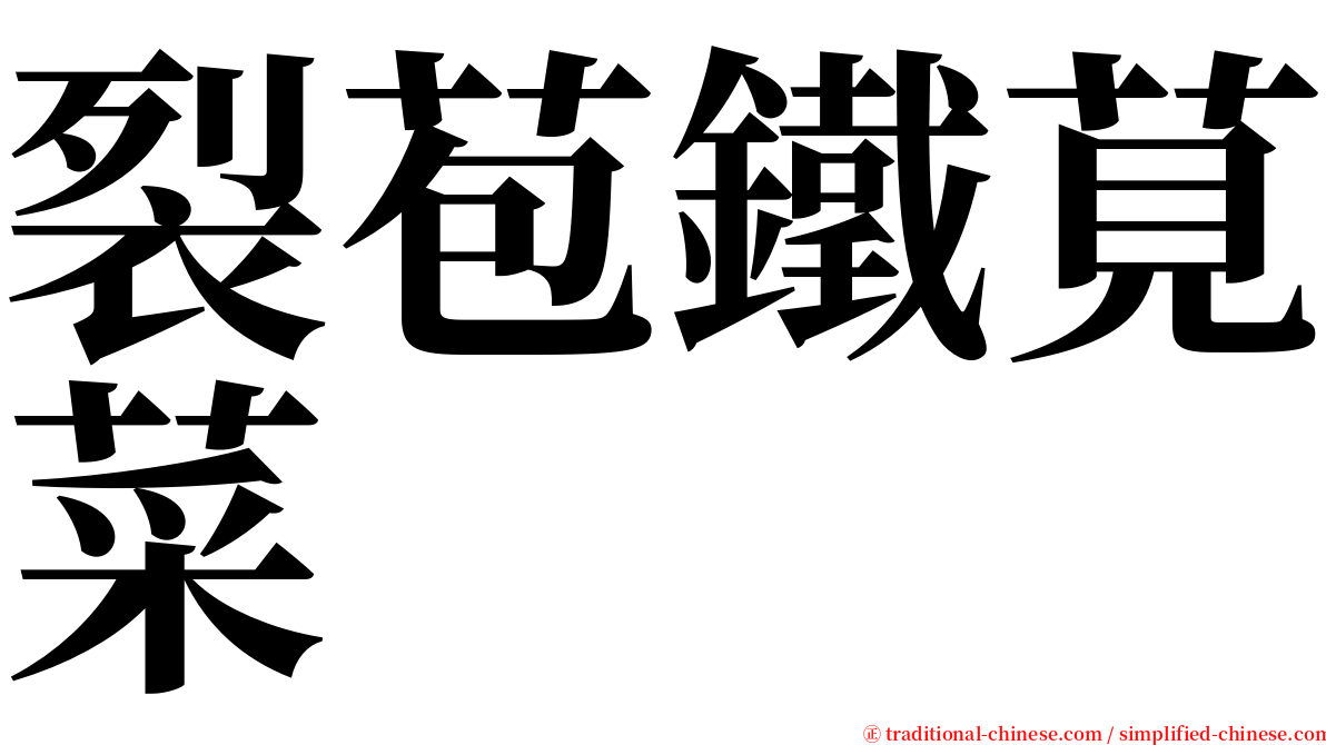 裂苞鐵莧菜 serif font