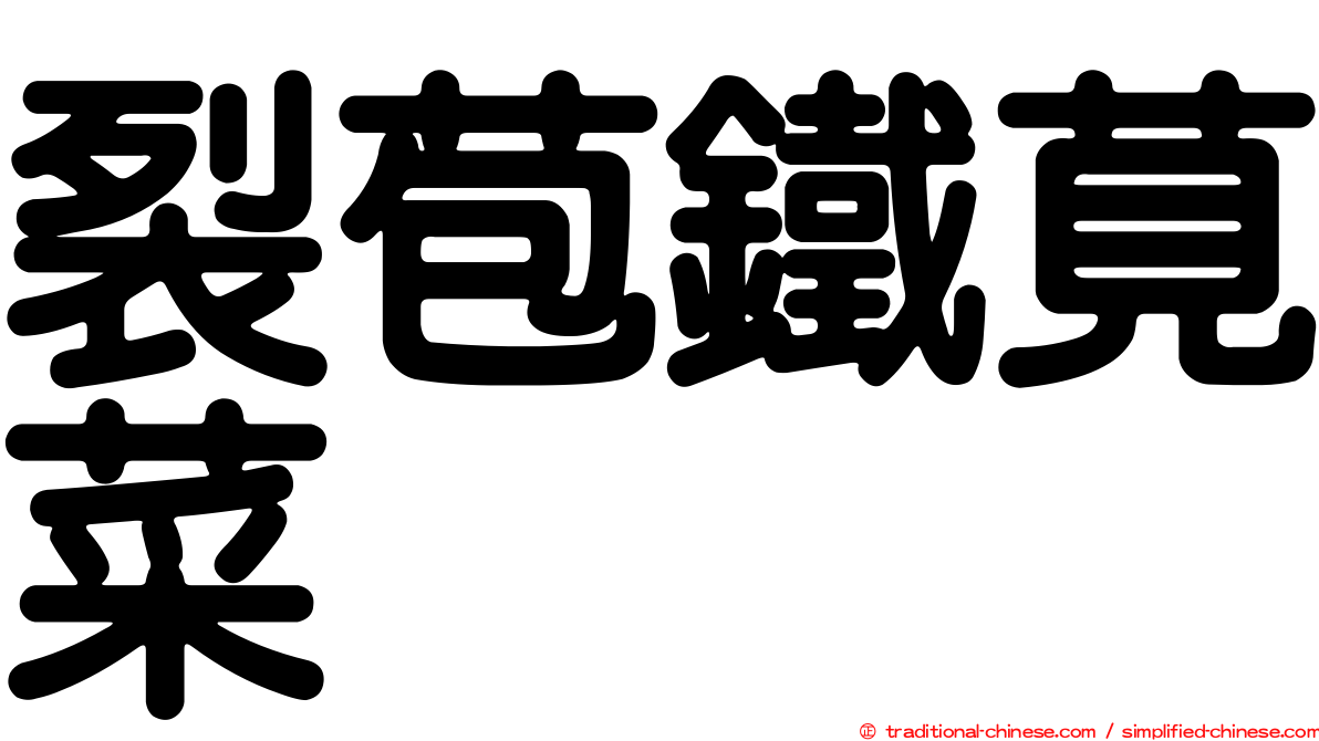裂苞鐵莧菜