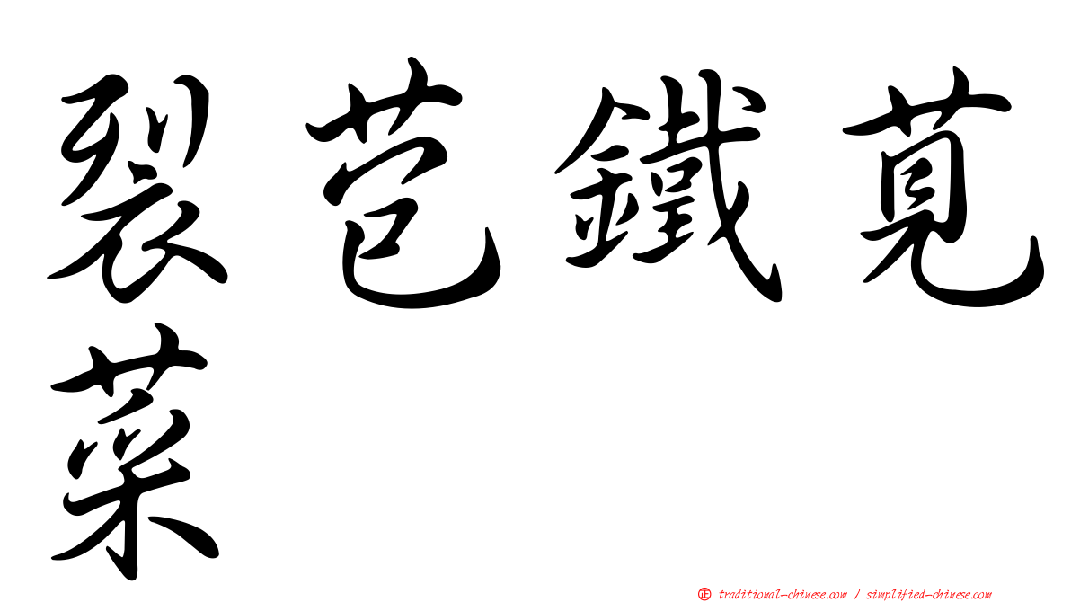 裂苞鐵莧菜