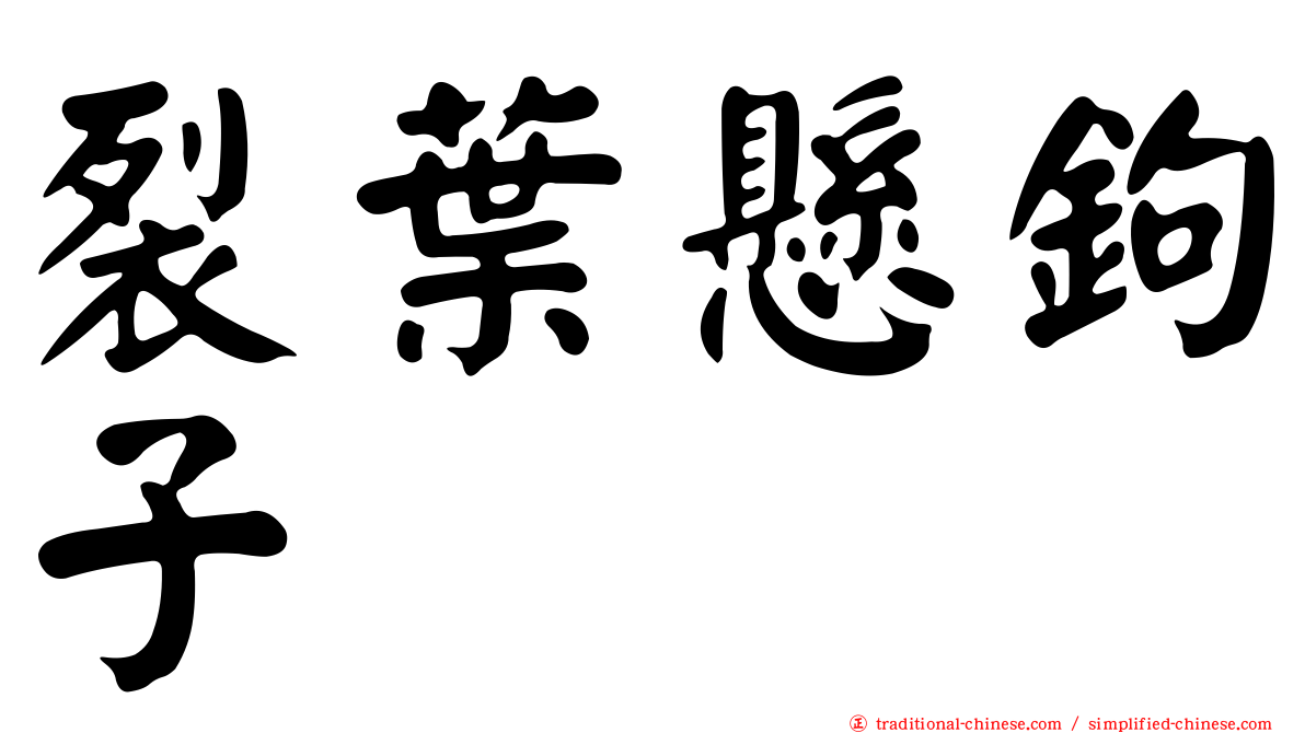 裂葉懸鉤子