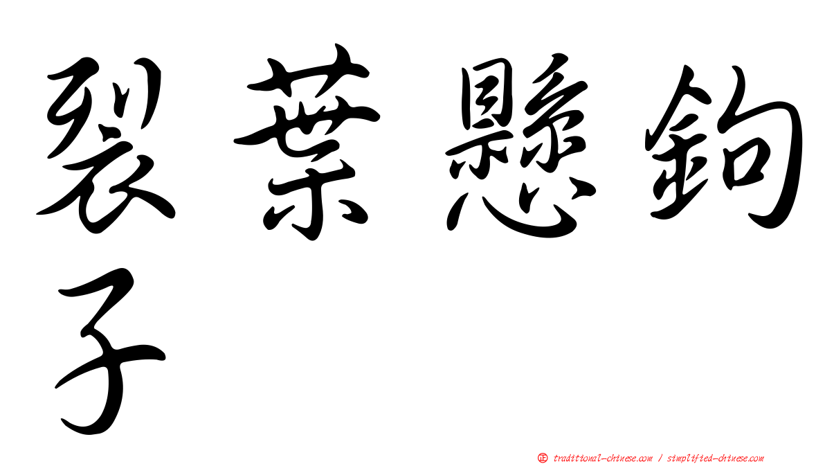 裂葉懸鉤子