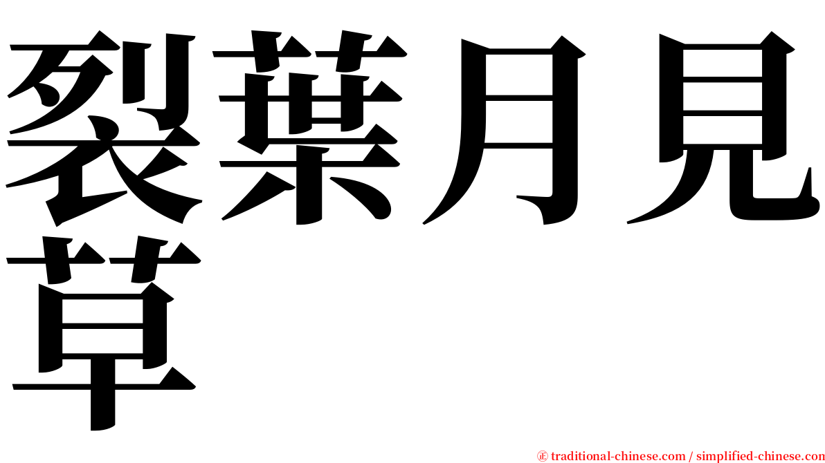 裂葉月見草 serif font