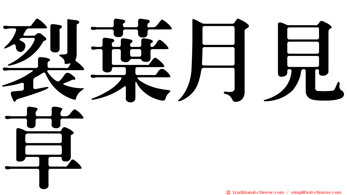 裂葉月見草