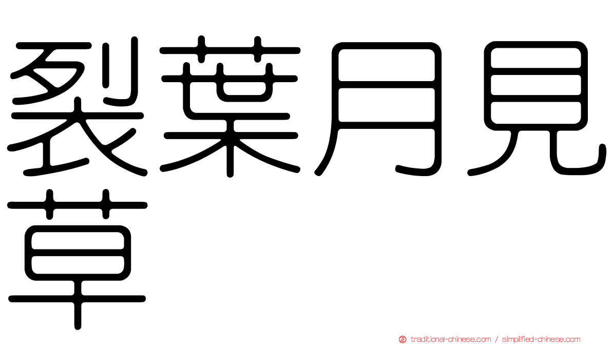 裂葉月見草