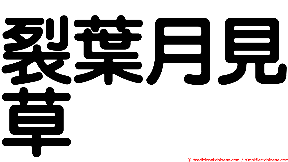 裂葉月見草