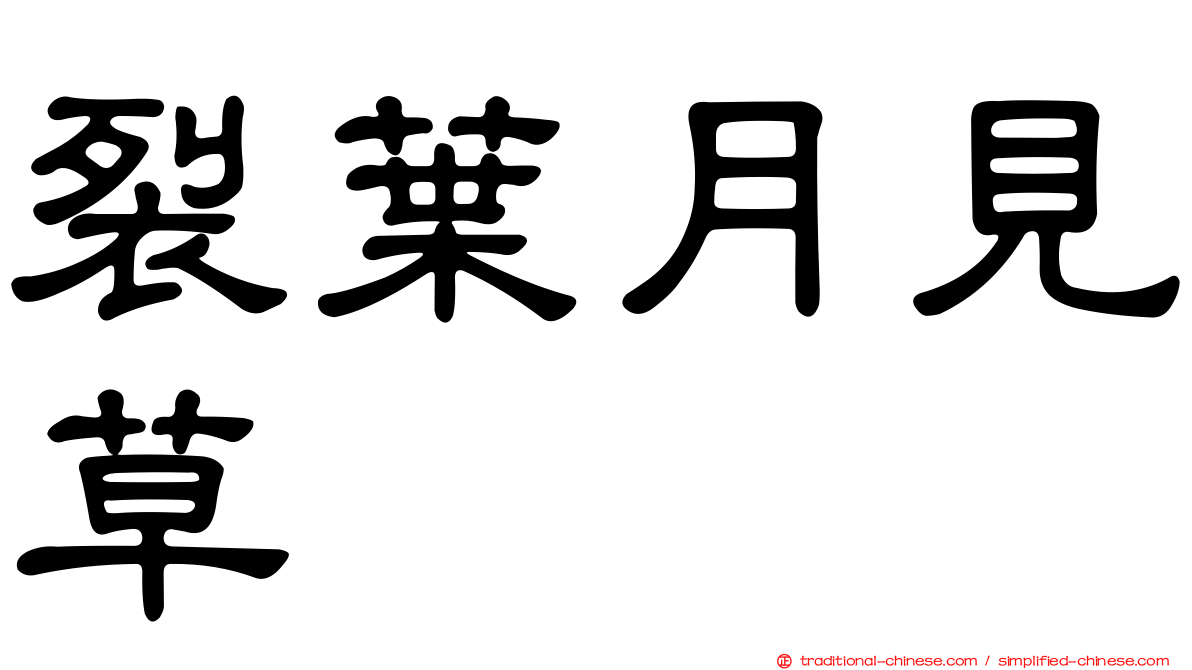 裂葉月見草
