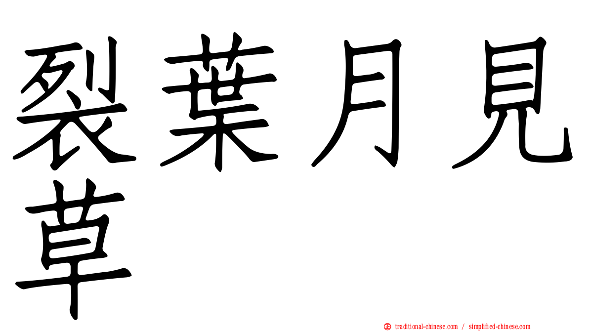 裂葉月見草