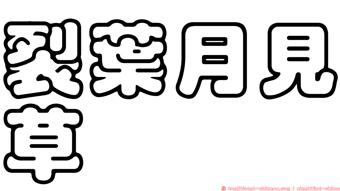 裂葉月見草