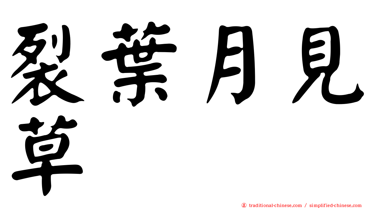 裂葉月見草
