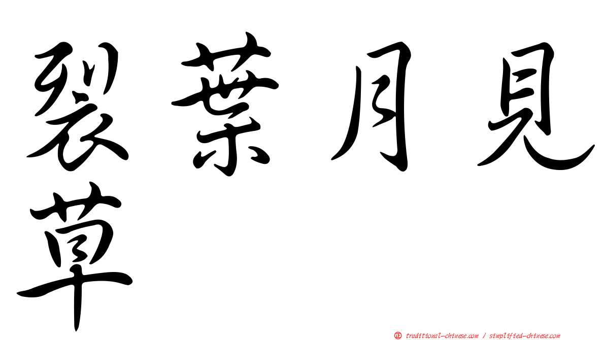 裂葉月見草