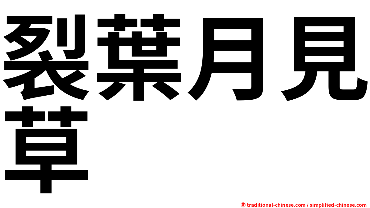 裂葉月見草