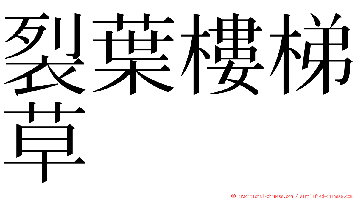 裂葉樓梯草 ming font