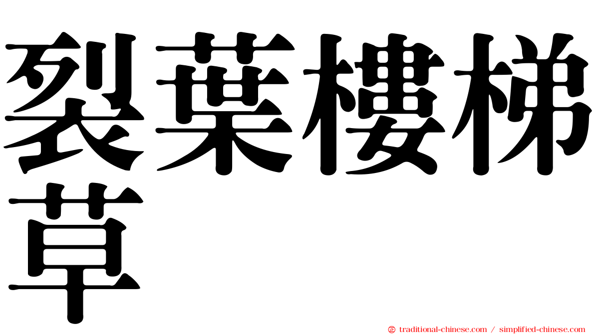 裂葉樓梯草