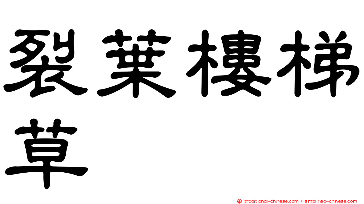 裂葉樓梯草