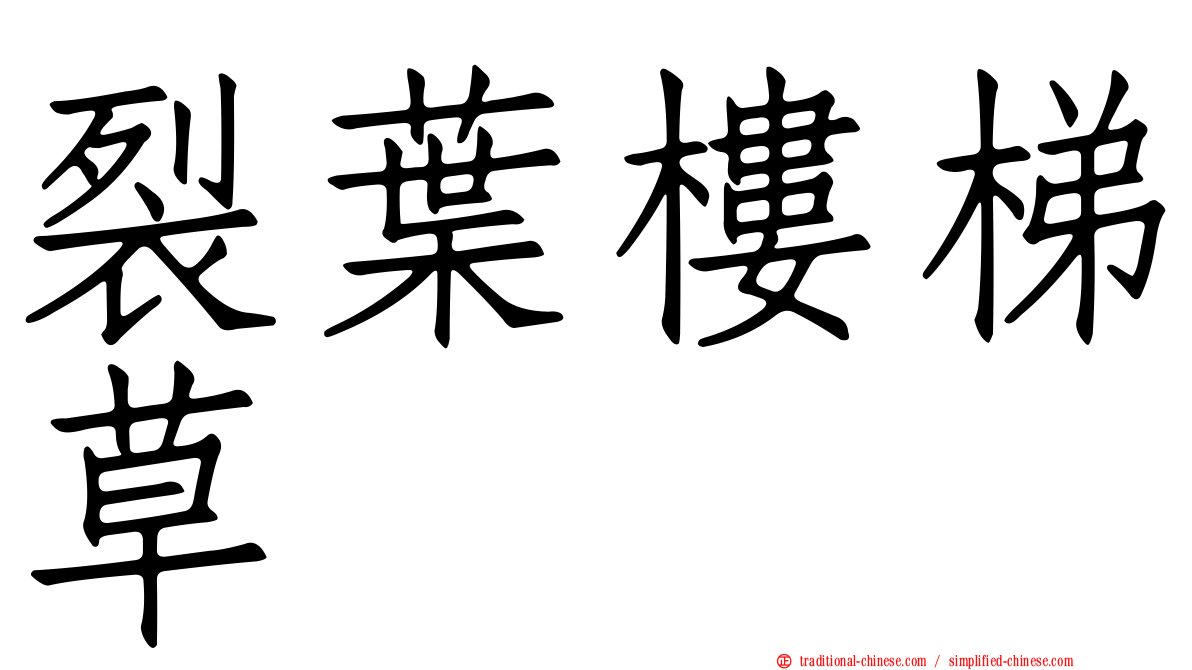 裂葉樓梯草