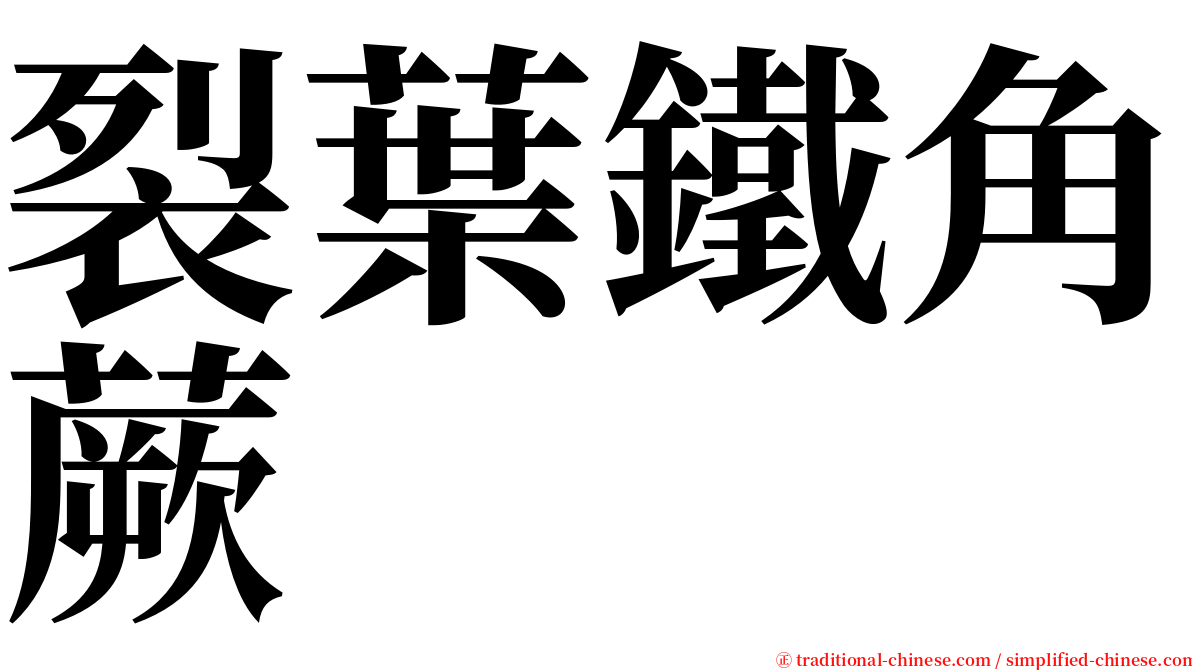 裂葉鐵角蕨 serif font