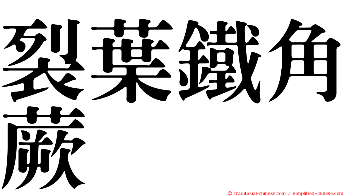 裂葉鐵角蕨