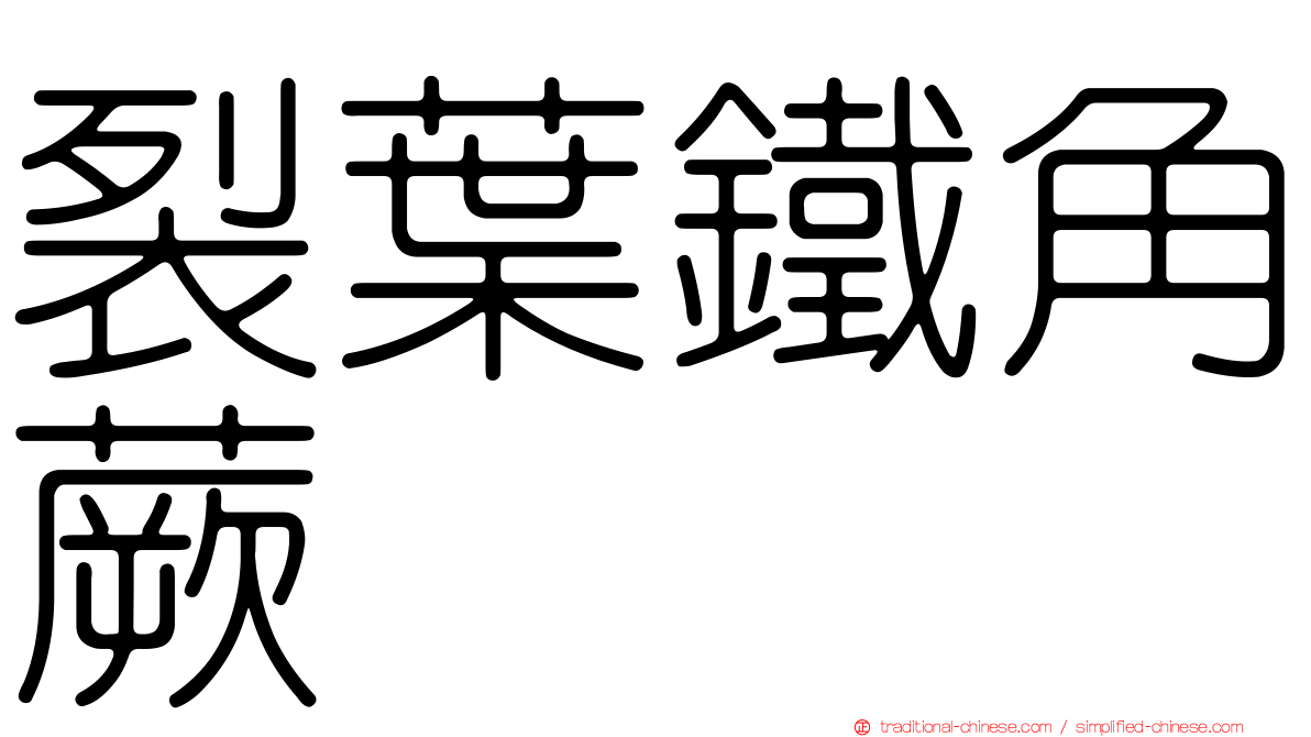 裂葉鐵角蕨