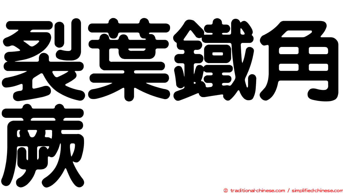 裂葉鐵角蕨