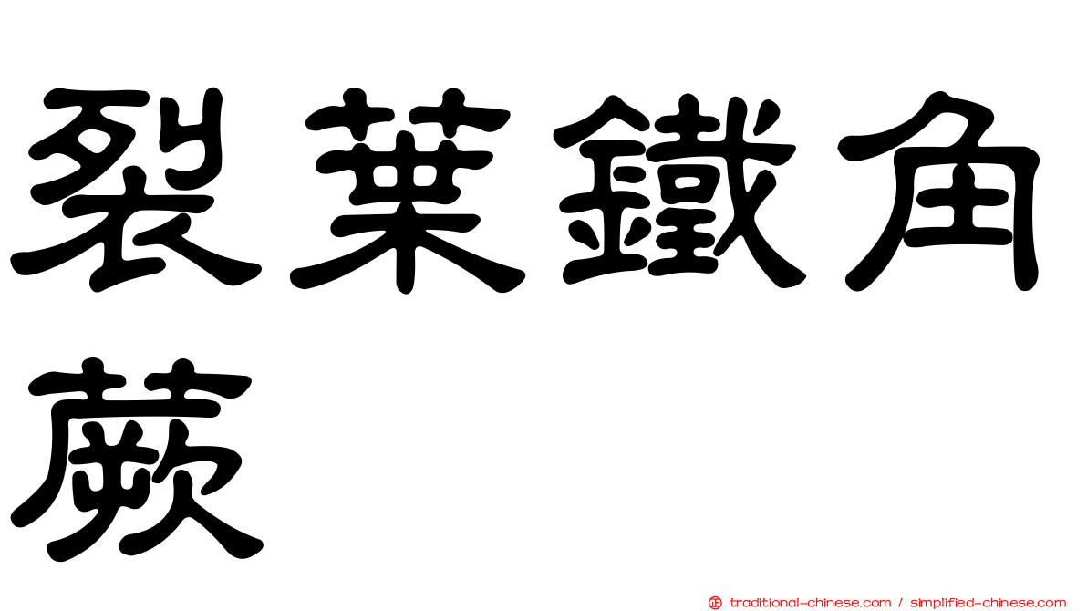 裂葉鐵角蕨