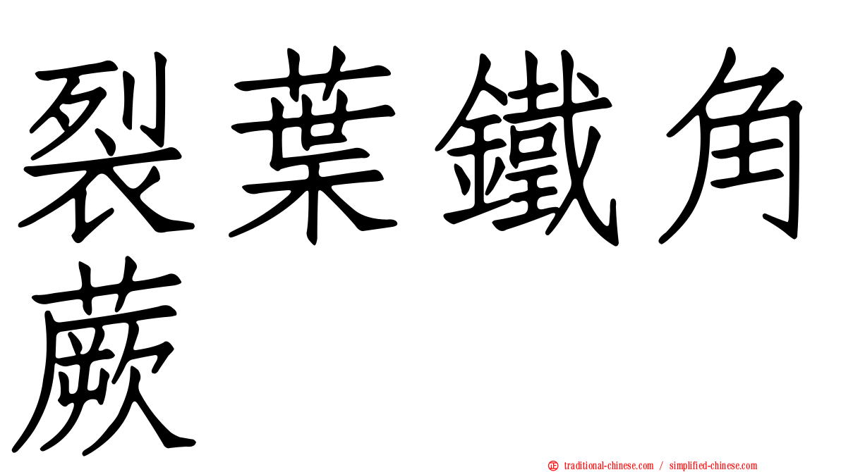 裂葉鐵角蕨