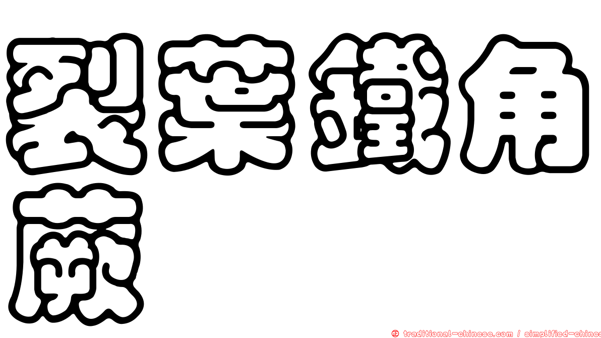 裂葉鐵角蕨