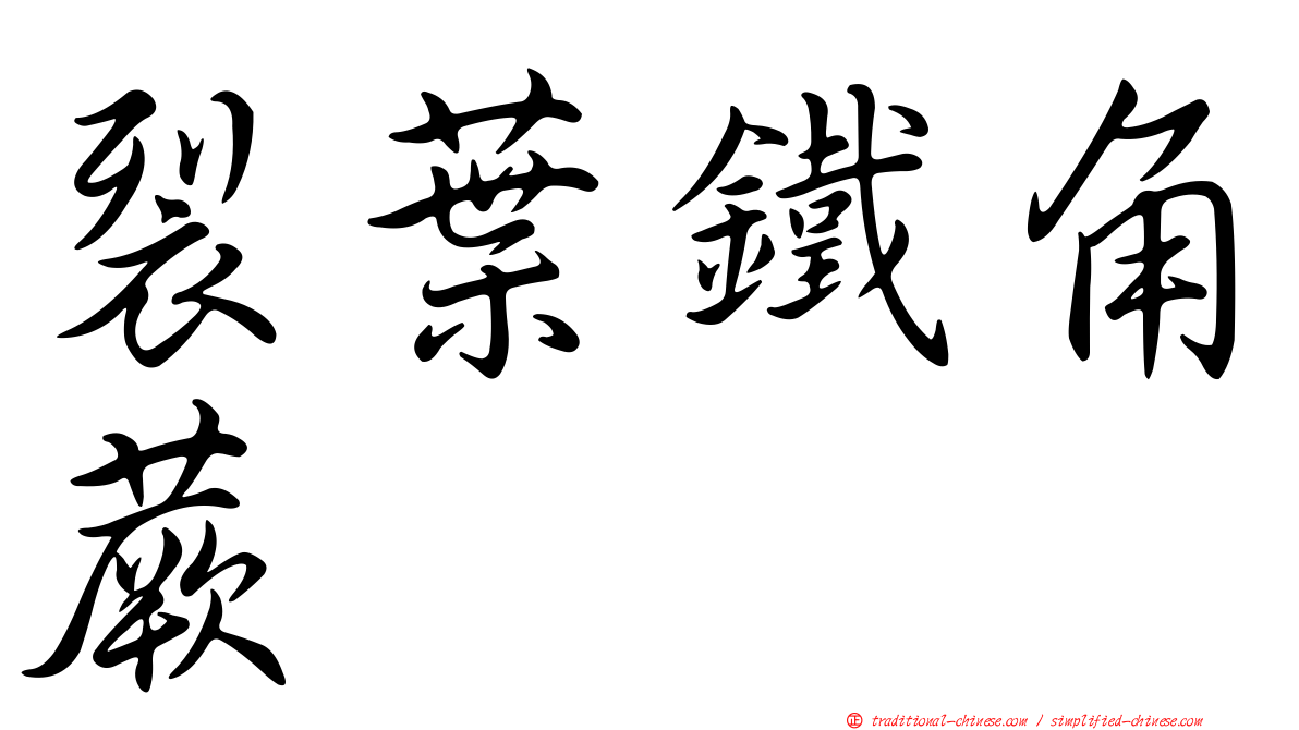 裂葉鐵角蕨