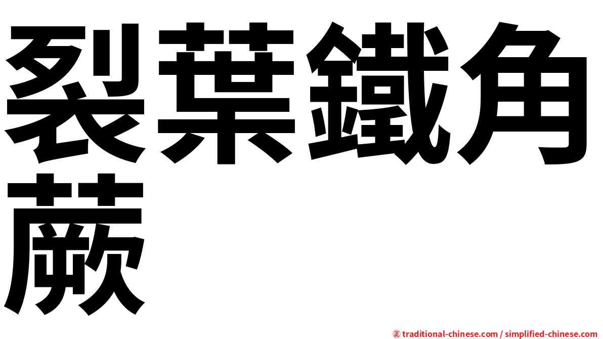 裂葉鐵角蕨