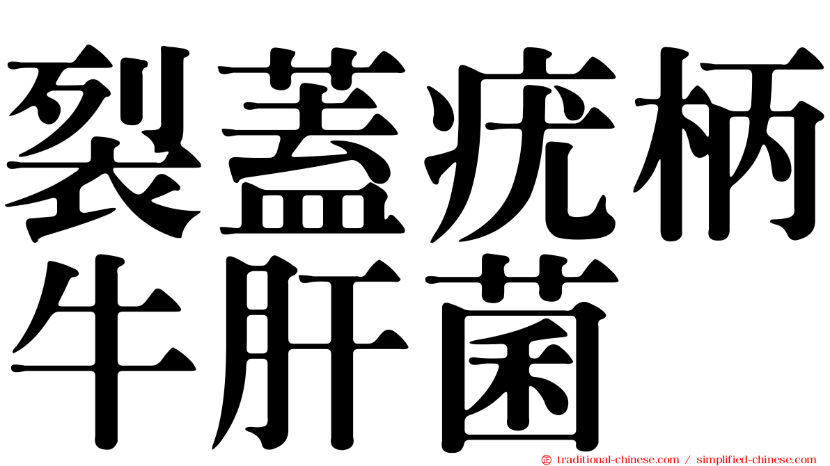 裂蓋疣柄牛肝菌