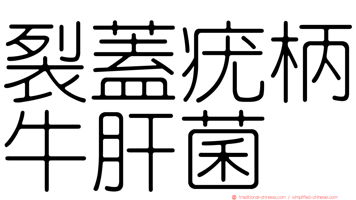 裂蓋疣柄牛肝菌