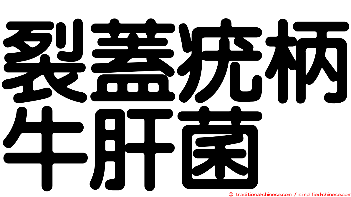 裂蓋疣柄牛肝菌