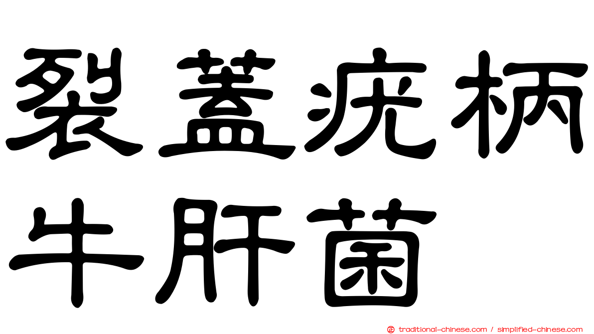 裂蓋疣柄牛肝菌