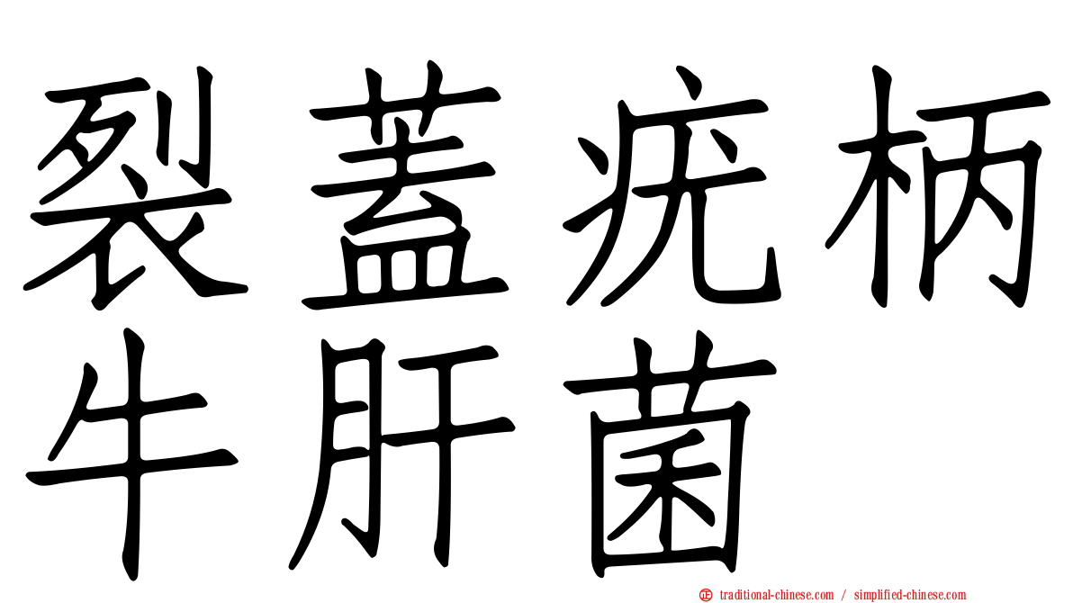 裂蓋疣柄牛肝菌