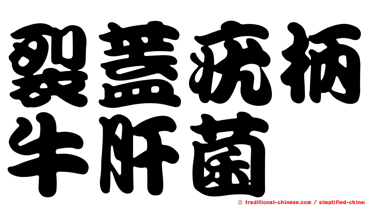 裂蓋疣柄牛肝菌