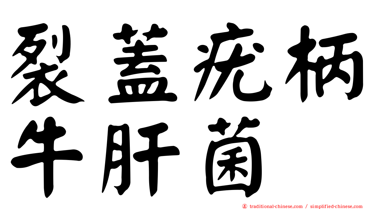 裂蓋疣柄牛肝菌