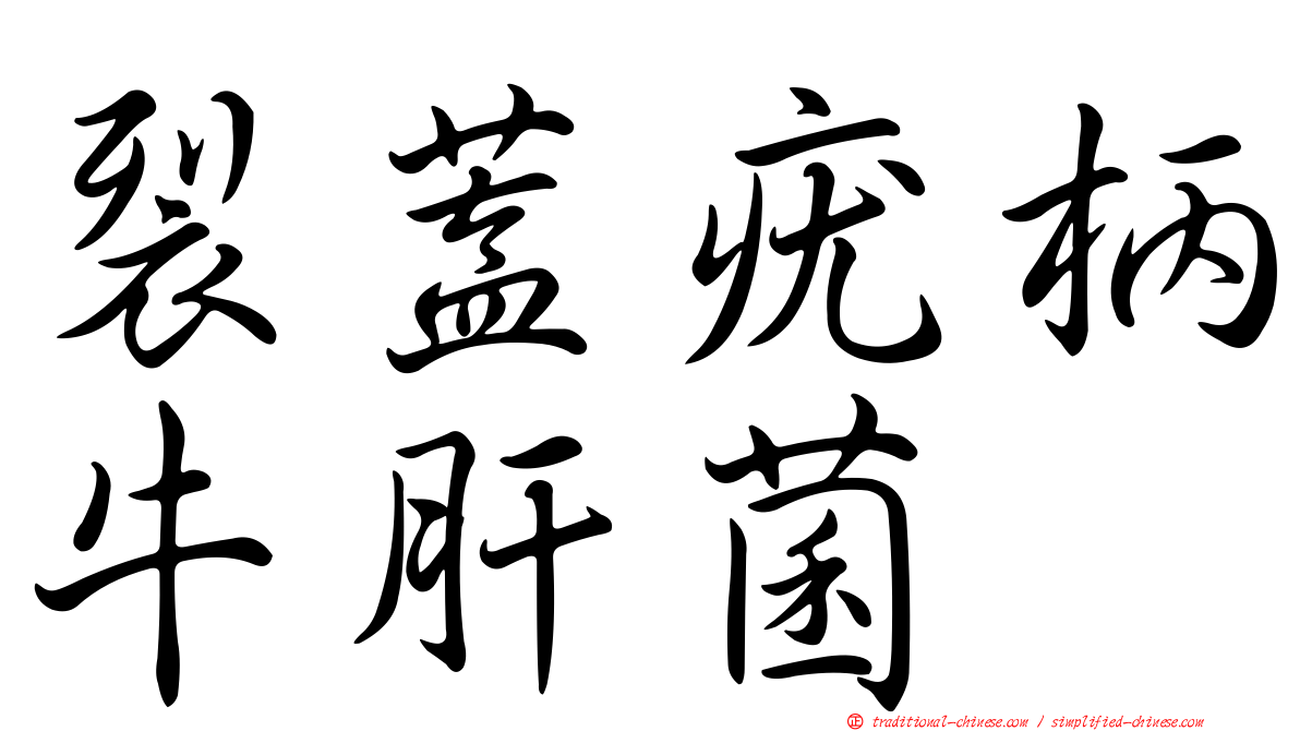 裂蓋疣柄牛肝菌