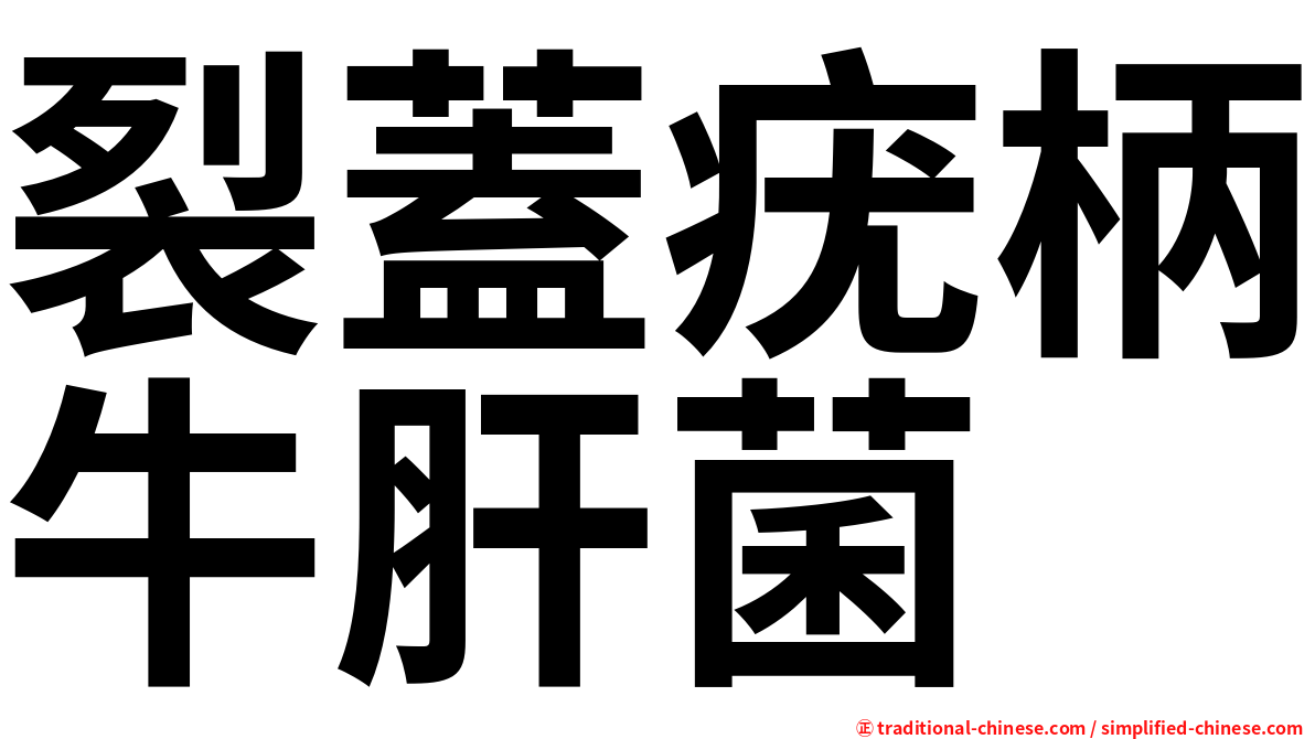 裂蓋疣柄牛肝菌
