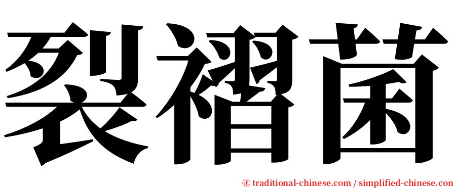 裂褶菌 serif font
